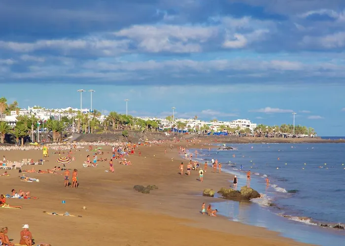 Orquideas View 卡门港